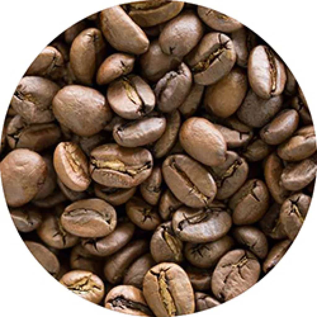 How to Use a Manual Coffee Grinder Coffee Sample_2 - Coffee Dino